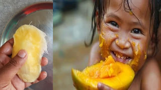 Moringa Leaves Benefits: మునగాకుతో కూర, పచ్చడి.. ఎలా తిన్నా సరే..! ఆరోగ్యానికి ఎన్ని ప్రయోజనాలో తెలుసా..?