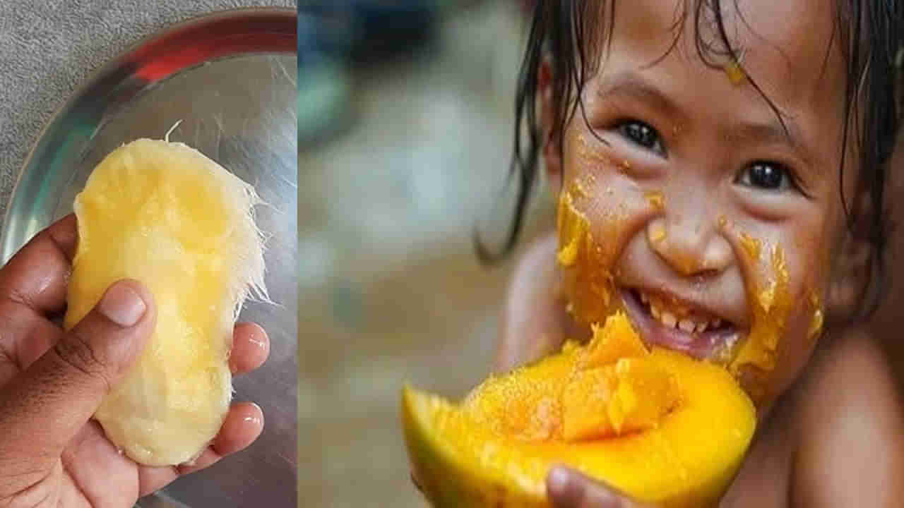 మీరూ మామిడి పండు తిన్నాక టెంక పడేస్తున్నారా? ఆగండాగండీ..