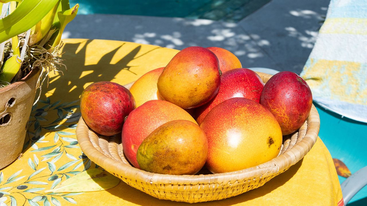 Mangoes On Table