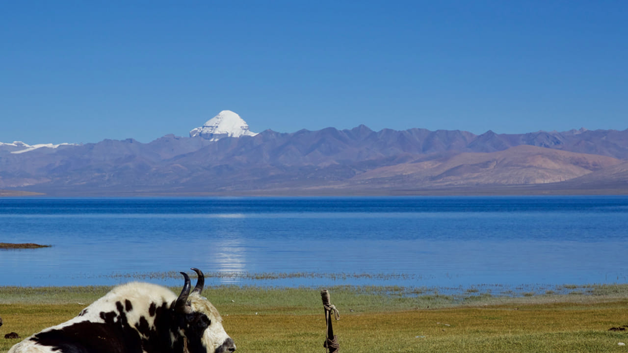 యాత్రికులకు సజావుగా, ఇబ్బంది లేని ప్రయాణాన్ని నిర్ధారించడానికి అధికారులు రోడ్డు నిర్వహణ, భద్రతా చర్యలను మెరుగుపరుస్తున్నారు. సిక్కింలోని నాథులా మార్గం దాని  నిర్వహించబడిన రోడ్లు, ప్రశాంతమైన పరిసరాల కారణంగా అత్యంత ప్రాప్యత, సురక్షితమైన మార్గంగా పరిగణించబడుతుంది.