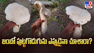 డబ్బులు లెక్కపెట్టుకుంటున్న వ్యక్తి.. ఇంతలో ఊహించని ట్విస్ట్‌