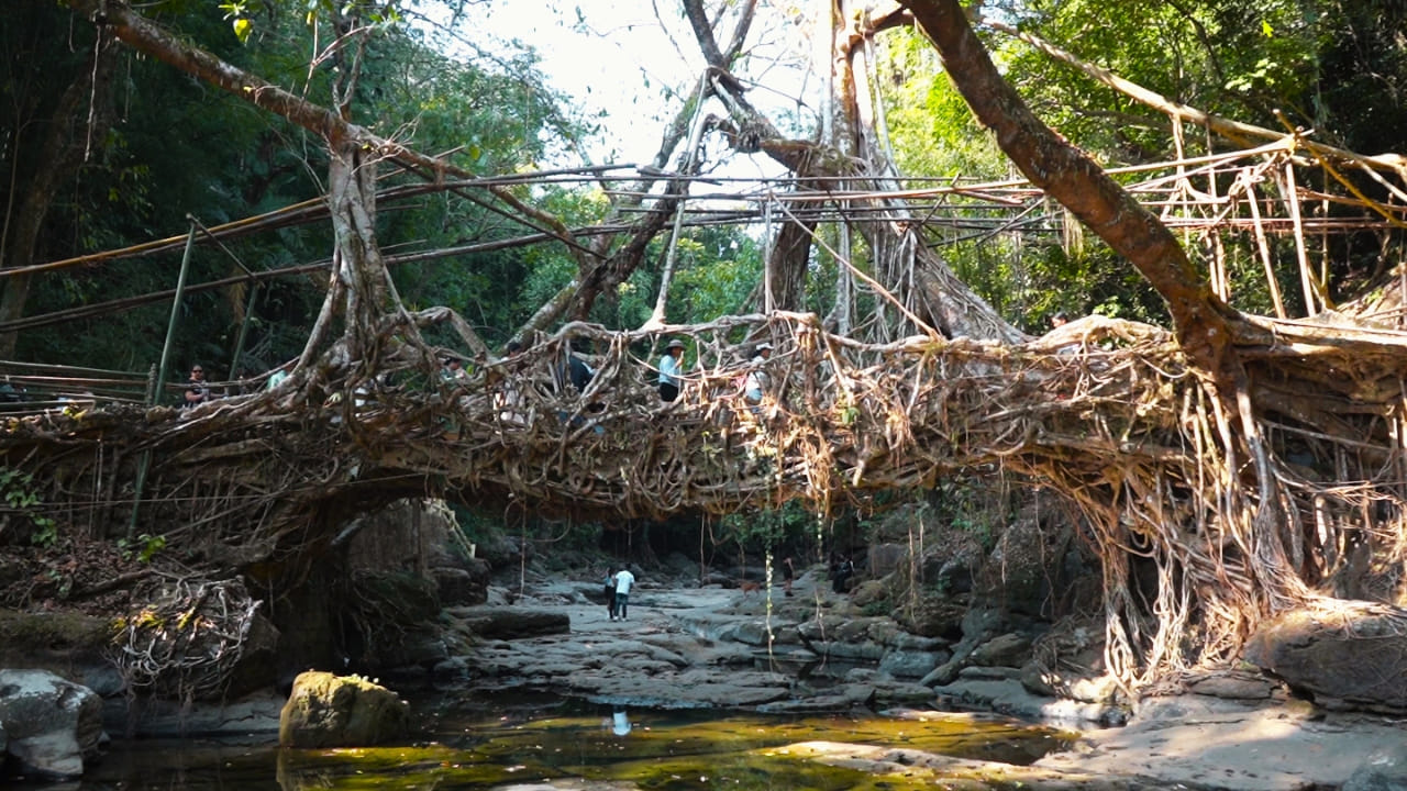 మావ్లిన్నోంగ్, మేఘాలయ: ఆసియాలో అత్యంత పరిశుభ్రమైన గ్రామంగా పిలువబడే మావ్లిన్నోంగ్ సహజమైనది మాత్రమే కాదు, దృశ్యపరంగా కూడా అద్భుతంగా ఉంటుంది. తూర్పు ఖాసీ కొండలలో ఉన్న ఈ చిన్న గ్రామం బంగ్లాదేశ్ మైదానాల పచ్చదనం, లివింగ్ రూట్ బ్రిడ్జిల వంటి ప్రత్యేకమైన సహజ నిర్మాణాల విస్తృత దృశ్యాలను అందిస్తుంది.