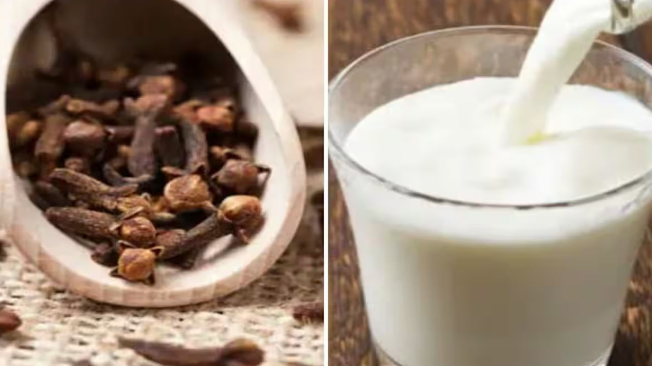 లవంగం పాలు తాగడం వల్ల శరీరంలోని రక్తపోటు స్థాయి అదుపులో ఉంటుంది. రక్తపోటును నియంత్రించే లక్షణాలు లవంగాల్లో ఉన్నాయి. అందుకే బీపీ రోగులు లవంగాల పాలు తాగాలని నిపుణులు చెబుతున్నారు. లవంగాల పాలు తాగితే జీర్ణవ్యవస్థను బలపడుతుంది. పొట్టను శుభ్రపరచడంలో లవంగాలు సాయపడతాయి. లవంగం పొడిని పాలలో కలిపి తాగితే జీవ క్రియ వేగవంతం అవుతుంది.