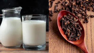 ఉత్తరాఖండ్‌లో దొరికే ఈ అడవి పండు.. ఇలాంటి వ్యాధులన్నింటికీ దివ్యౌషధం..!