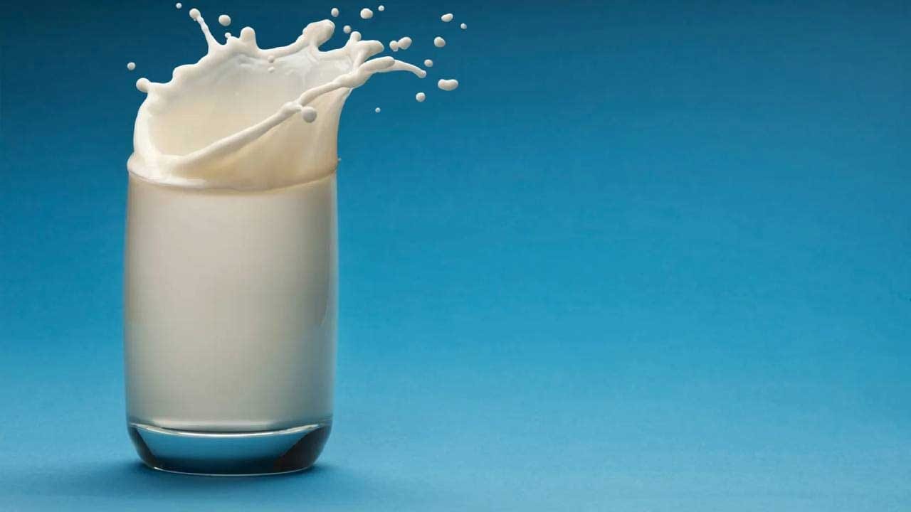 ఇక పోషకాల గని అయినప్పటికీ పాలు అందరికీ మంచివి కావు. కొంత మందికి పాలు తాగడం వలన అనేక సమస్యలు వస్తుంటాయి.కొందరికి పాలు తాగిన తర్వాత దగ్గు లేదా గొంతులో నొప్పి వంటి సమస్యలు తలెత్తుతాయంట. అంతే కాకుండ కడుపు నొప్పి, తీసుకున్న ఆహారం జీర్ణం కాకపోయినా అటువంటి వారు పాలకు దూరం ఉండాలంటున్నారు నిపుణులు.