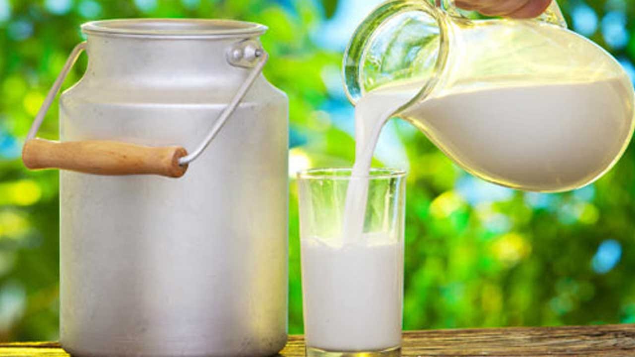 అలాగే కొంత మందికి పాల అలెర్జీ ఉంటుంది. అలాంటి వారు కూడా పాలు అస్సలే తాగకూడదంట. దీని వలన సమస్య మరితంత తీవ్రతరం అయ్యే ఛాన్స్ ఉంటుంది. అలాగే, శ్వాస కోశ సమస్యలు, దగ్గు వంటి సమస్యలతో బాధపడే వారు కూడా పాలు తాగకూడదంట.