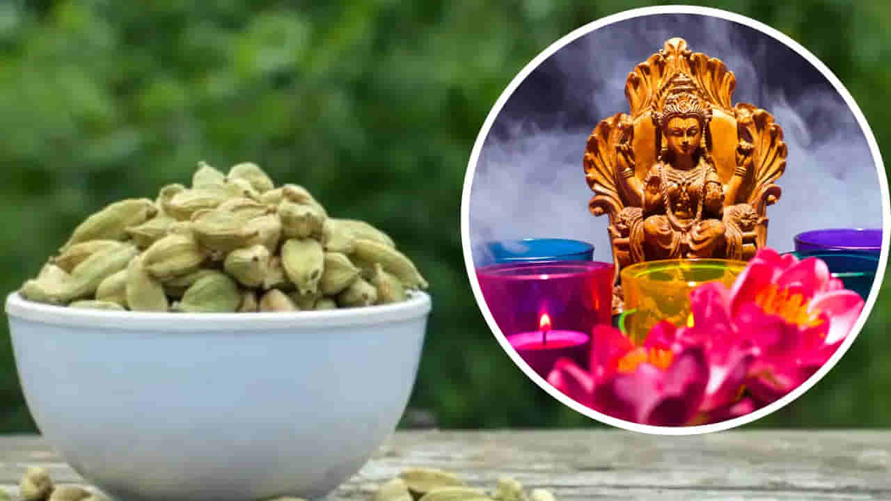 Astrology Remedies: భర్త ఆదాయం పెరగాలంటే మహిళలు ఈ ఒక్క పని చేయండి.. జ్యోతిష్య నిపుణులు చేప్పే మాట