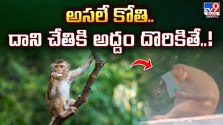 ‘పెళ్లి ఓ టైం వేస్ట్!’ నాగరికతకు దూరంగా గుహలో నివాసం.. అసలు ఎవరితను?