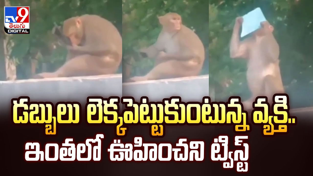 డబ్బులు లెక్కపెట్టుకుంటున్న వ్యక్తి.. ఇంతలో ఊహించని ట్విస్ట్‌