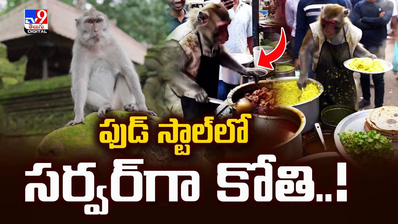 రోడ్డుపక్కన ఫుడ్‌ స్టాల్‌లో సర్వర్‌గా పని చేస్తున్న కోతి.. సెల్ఫీలు తీసుకుంటున్న కస్టమర్స్‌