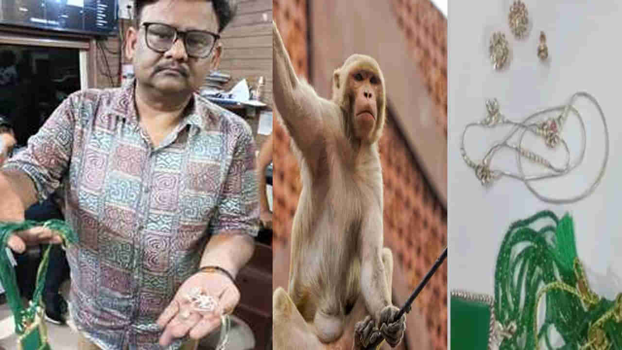 Viral News: ఆలయానికి వెళ్లిన ఓ కుటుంబానికి షాకిచ్చిన కోతి... ఏకంగా రూ. 20 లక్షల విలువైన నగల పర్సుపై కన్నేసి...!