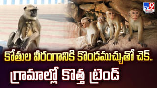 ఒకే గుంతలో పులి, కుక్క.. తర్వాత ఏం జరిగిందంటే..