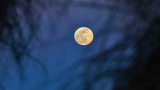 Toxic Relationships: నెగిటివ్ రిలేషన్‌ షిప్స్‌ కి కారణం ఏంటో మీకు తెలుసా..?