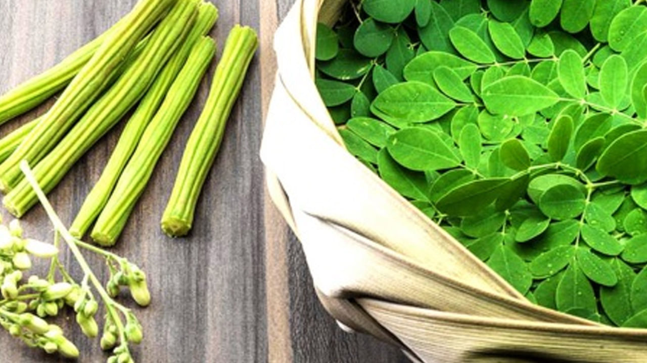 Moringa Leaves: మునగాకు ఆరోగ్యానికి అమృతమే.. ఈ వ్యాధులున్నవారు తింటే విషంతో సమానం.. ఎందుకంటే