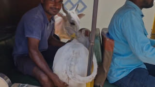 Nirmal: భరించలేని కడుపునొప్పితో భైంసా ఆస్పత్రికి మహిళ.. టెస్టులు చేసి నిర్ఘాంతపోయిన వైద్యులు