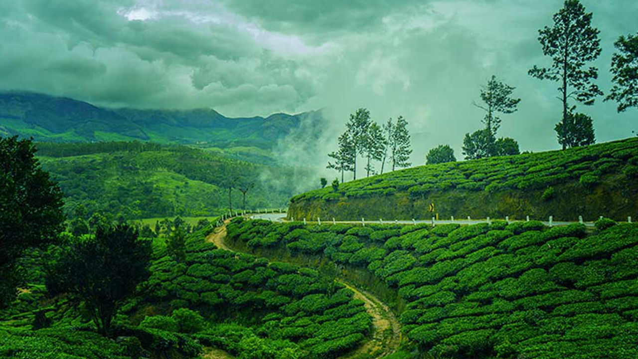 Munnar