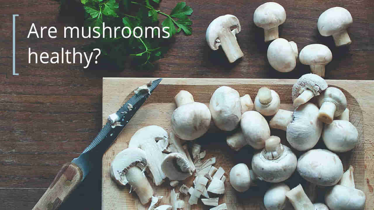 Mushrooms: పుట్టగొడుగులు తినడం మీకూ ఇష్టం ఉండదా? అయితే మీరీ విషయం తెలుసుకోవాల్సిందే