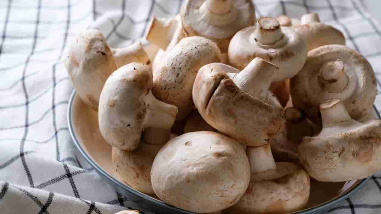 Mushrooms Health Benefits: ఇవి తింటే ఫుల్ ఎనర్జీగా ఉంటారు..! అలసట ఎక్కడికో ఎగిరిపోతుంది..!