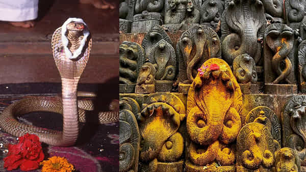 Naga Panchami 2025: ఈ ఏడాది నాగ పంచమి ఎప్పుడు? కాల సర్ప, నాగ దోషాల నుంచి విముక్తి కోసం ఎలా పూజించాలంటే..