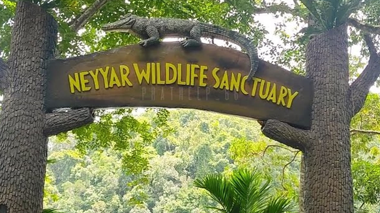 నెయ్యర్ వన్యప్రాణుల అభయారణ్యం తిరువనంతపురం నుంచి 30 కిలోమీటర్ల దూరంలో ఉంది. ఇది 128 చదరపు కిలోమీటర్లు విస్తీర్ణంలో ఉంది. ఇది వివిధ జాతుల మొక్కలు, జంతువులకు ఆశ్రయం కల్పిస్తుంది. 2016లో యునెస్కో అగస్త్యమల బయోస్పియర్ రిజర్వ్‌గా హోదాను పొందింది. ఈ పార్క్ జీప్ సఫారీలు, పచ్చని సతత హరిత అడవుల ద్వారా గైడెడ్ హైకింగ్ రెండింటినీ అందిస్తుంది. ఇది సందర్శకులకు ఏనుగులతో పాటు స్లోత్ ఎలుగుబంట్లు, సాంబార్ జింకలు, మొరిగే జింక జాతులను చూసే అవకాశాన్ని ఇస్తుంది. మొసళ్ళు, తాబేళ్లు నెయ్యర్ ఆనకట్ట జలాశయంలో నివసిస్తాయి. కాబట్టి ప్రజలు ఈ ప్రదేశాన్ని సందర్శించాలి. 