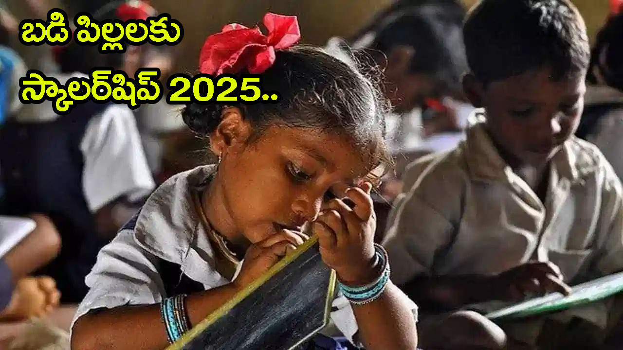 NMMS Scholarship 2025: సర్కార్ బడుల్లో చదివే పేదింటి పిల్లలకు స్కాలర్‌షిప్‌ ఛాన్స్.. వెంటనే దరఖాస్తు చేసుకోండి!
