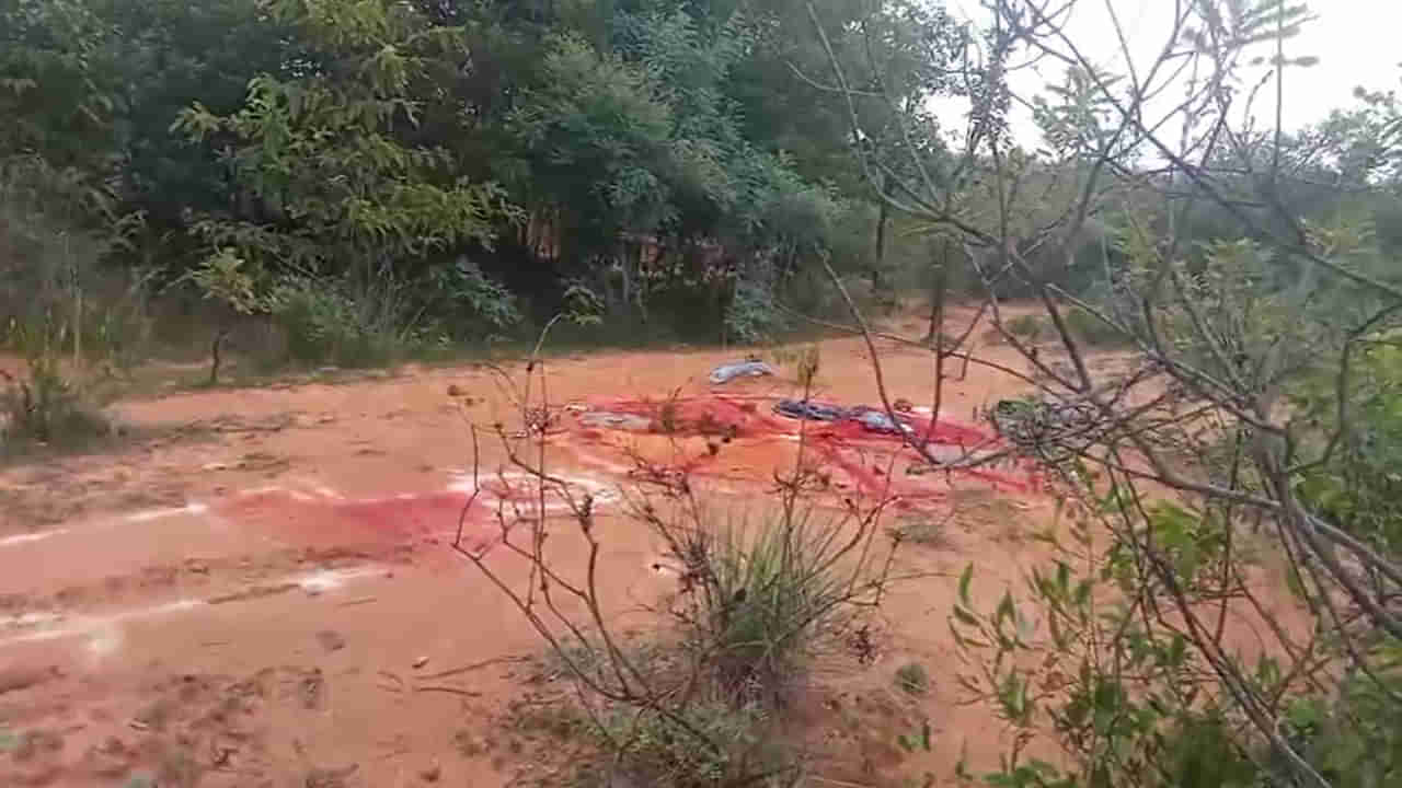 Mulugu: అడవిలో భారీ మనిషి ఆకారంలో కనిపించిన బొమ్మ.. దగ్గరకు వెళ్లి చూడగా..