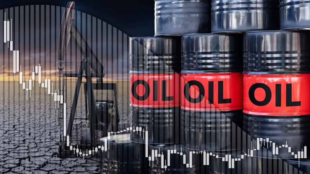 Oil