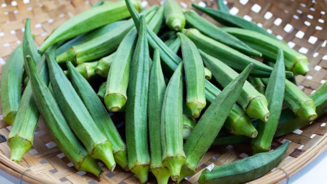 Okra Water 1