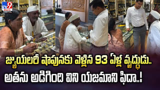 చిరుతకే ఝలక్‌ ఇచ్చిన గ్రామ సింహం..ఎలా తప్పించుకుందంటే వీడియో