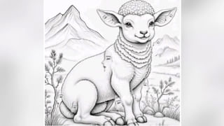 Travel Tips: ప్రపంచంలో రాత్రి లేని దేశం ఒకటి ఉందని మీకు తెలుసా? ఆ దేశ అందాలు చూడానికి రెండు కళ్ళు చాలవు సుమా..