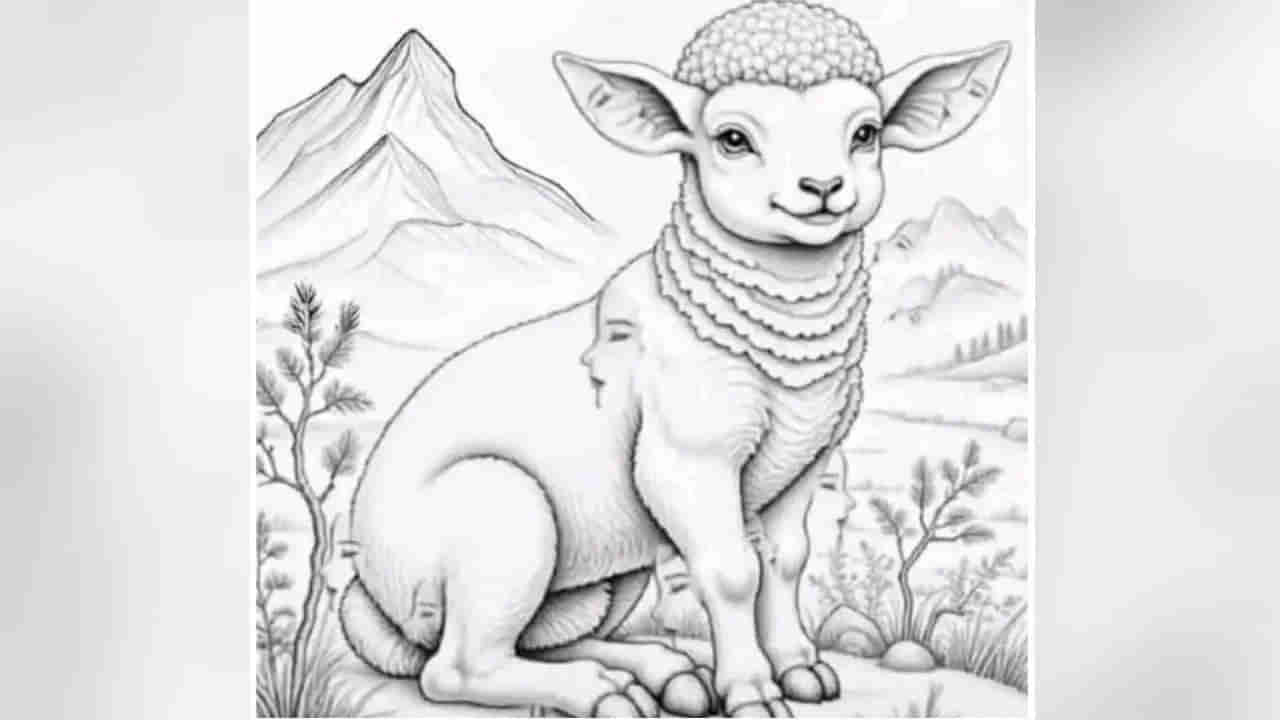 Optical Illusion: మీ మెదడుకి పదును ఈ చిత్రం.. గొర్రెపిల్లలో ఉన్న ముఖాలు ఎన్నో చెప్పుకోండి చూద్దాం