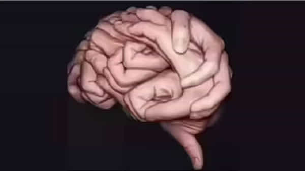 Optical Illusion Test: ఈ చిత్రంలో మొదట చూసేదే మీ వ్యక్త్వితం.. మీరు అందరినీ గుడ్డిగా నమ్మే వ్యక్తా, తార్కిక వ్యక్తా తెలుసుకోండి..
