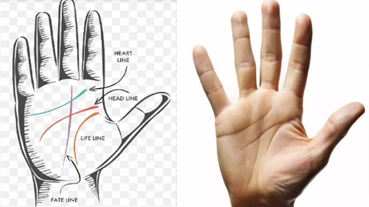 Palmistry: మీ అరచేతిలో M అక్షరం ఇలా ఉందా.. వీరు వ్యక్త్విత్వం, లక్షణాలు తెలిస్తే ఆశ్చర్యపోతారు..