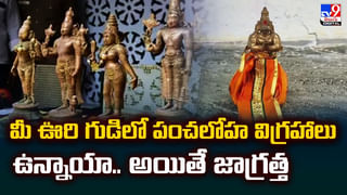 ప్రపంచంలోనే బుల్లి కారు.. దీని జోరే వేరు