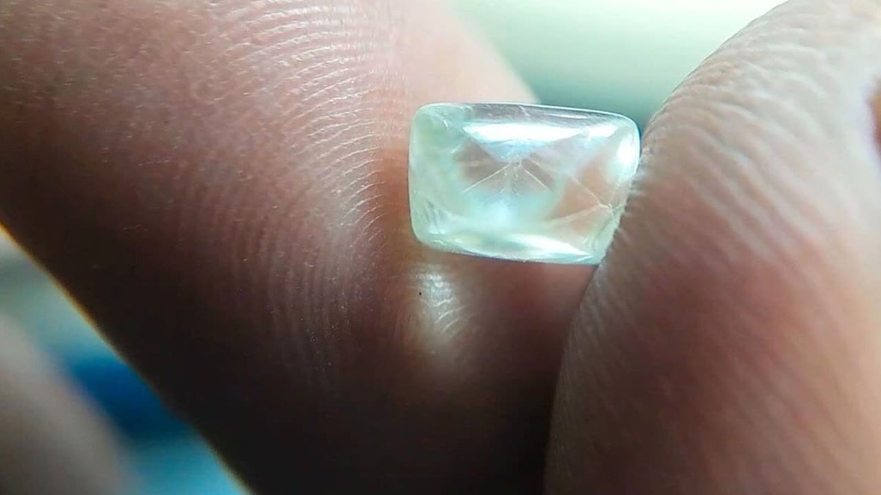 రైతు సుడి తిరిగింది.. ఆరు నెలల కష్టం.. ఒక్కరోజులోనే లక్షాధికారిని చేసింది..!