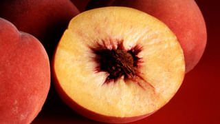 150కి పైగా వ్యాధుల్ని నయం చేసే కరక్కాయ.. కలలో కూడా ఊహించని లాభాలు.!