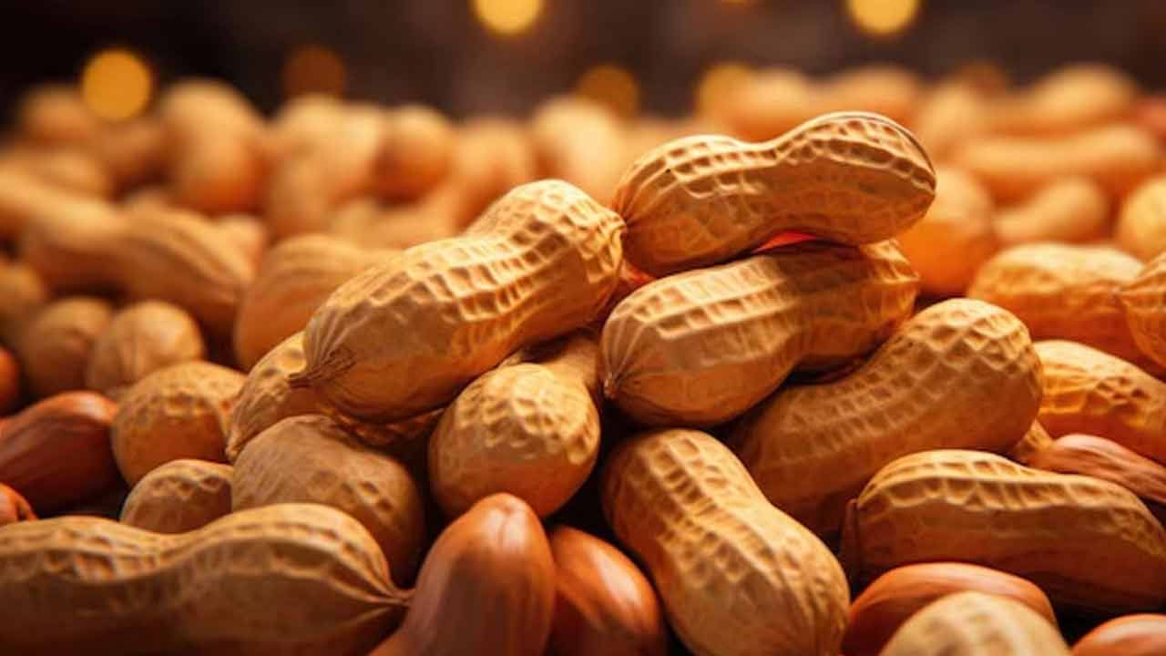 పల్లీలు తినడం వల్ల శరీర ఉష్ణోగ్రత కొద్దిగా పెరుగుతుంది. కానీ మీరు వెంటనే చల్లటి నీరు తాగితే, ఈ ఉష్ణోగ్రత అకస్మాత్తుగా పడిపోతుంది. దీనివల్ల శరీర ఉష్ణోగ్రత మారినప్పుడు జలుబు, దగ్గు, జ్వరం వంటి సమస్యలు వస్తాయి.