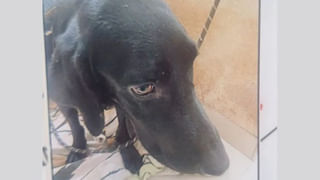 Shefali Jariwala Death: షెఫాలీ మరణం వెనుక మిస్టరీ ఏంటి..? అందమే ఆమెను చంపిందా..?