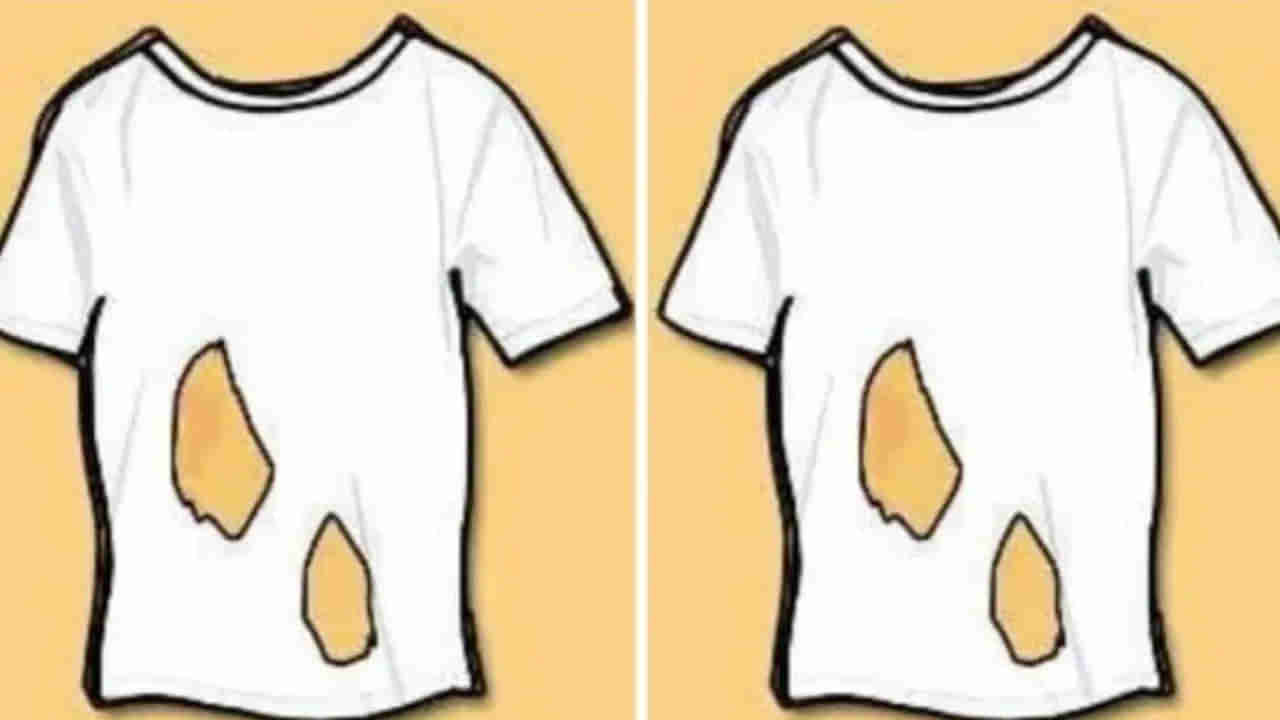 Photo Puzzle: సింపుల్ పజిల్.. ఈ టీషర్ట్‌కు ఎన్ని రంధ్రాలు ఉన్నాయో చెప్పగలరా.?