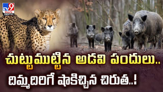పులితో సెల్ఫీకి ట్రై చేశాడు.. ఇంతలోనే షాక్