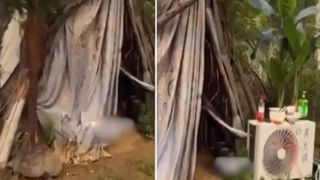 Viral Video: వామ్మో… కాస్తయితే.. డేంజరస్‌ పక్షుల నుంచి బిడ్డ సేఫ్‌… ఆ పక్షికి చిక్కారా అంతే సంగతులు