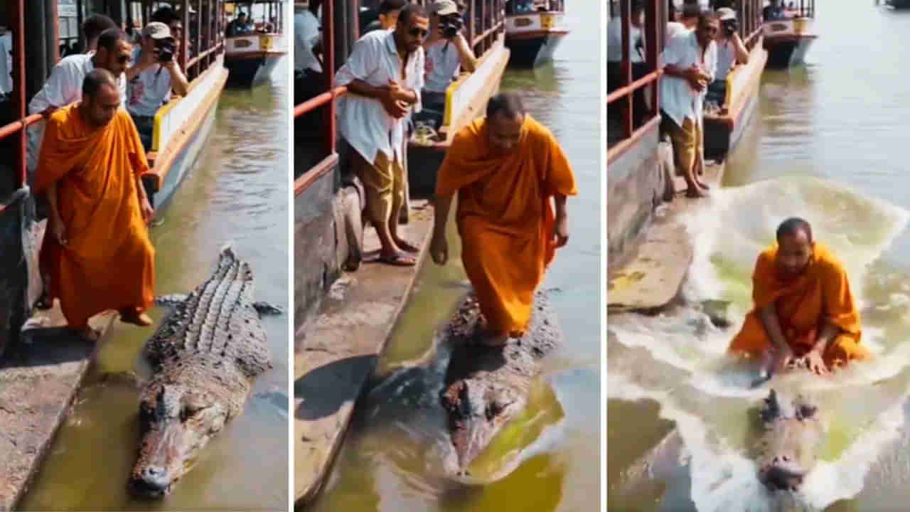 Viral Video: నీటిలోని మొసలిపై స్వామీజీ సవారీ... వైరల్‌ అవుతోన్న షాకింగ్‌ వీడియో