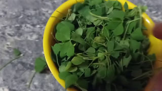 Honey Pepper mixture: దీన్ని తేనెతో కలిపి తింటే సూపర్‌ బెనిఫిట్స్‌.. ఒంట్లోని షుగర్‌, కొలెస్ట్రాల్‌ మీ కంట్రోల్‌లోనే..