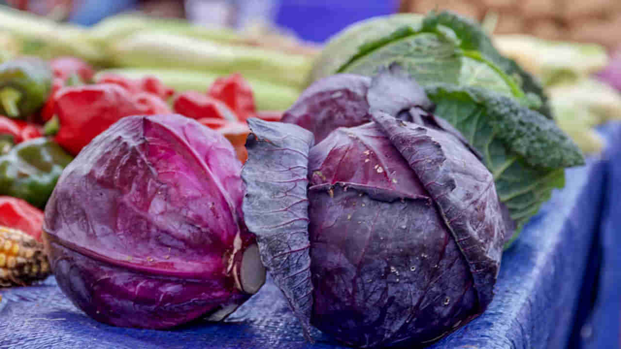 Purple Cabbage: పోషక ఖజానా పర్పుల్‌ క్యాబేజీ..పవర్ ఫుల్ ప్రయోజనాలు తెలిస్తే..