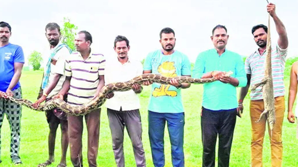 Python