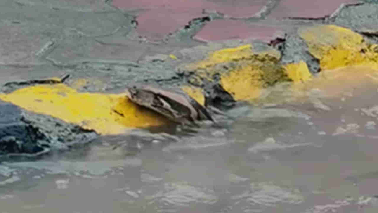 Viral Video: రోడ్డుపై వరద నీటిలో తేలుతున్న వింత ఆకారం.. ఏంటా అని దగ్గరికెళితే..