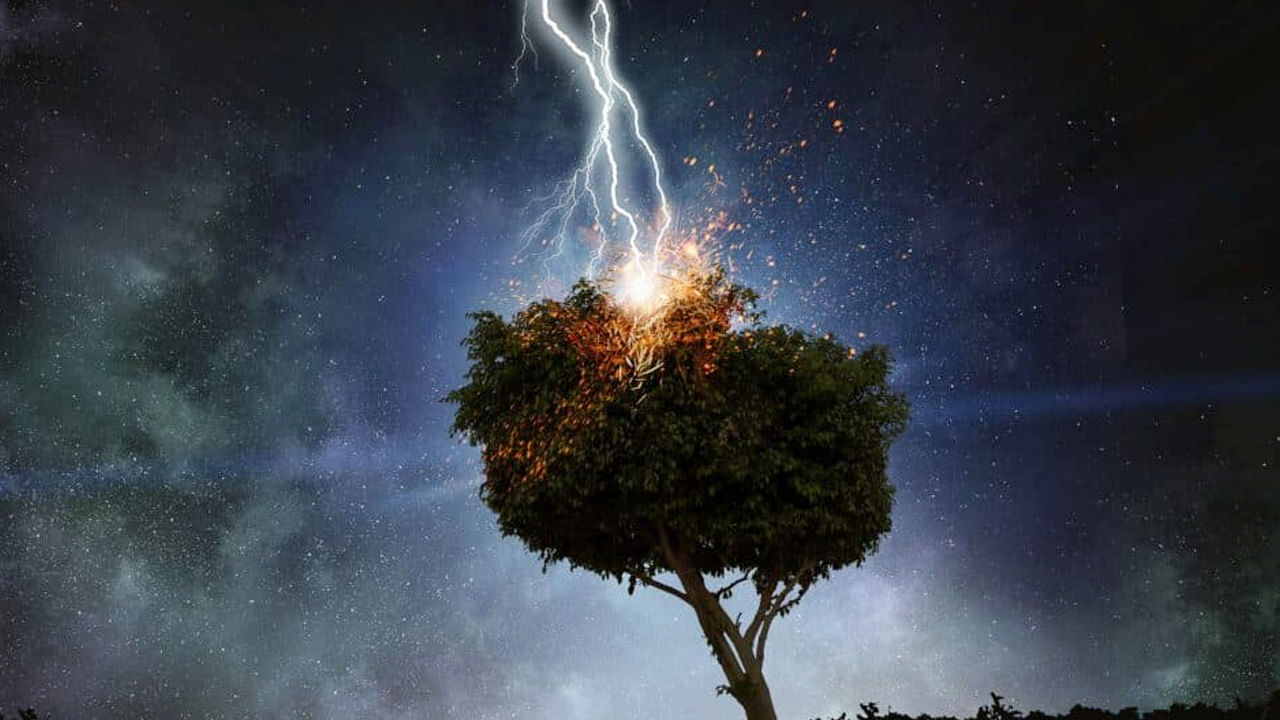 అదే విధంగా, సరస్సులు, జలాశయాలు, చిత్తడి నేలలకు దూరంగా ఉండాలంట. అలాగే ఎత్తైన భవనాలకు దూరంగా ఉండటం చాలా మంచిదని చెబుతున్నారు నిపుణులు. ఎందుకంటే పిడుగులు తరచుగా ఎత్తైన ప్రదేశాలను తాకుతాయి. టవర్లు, విద్యుత్ స్తంభాలు లేదా పొడవైన చెట్ల పై ఎక్కువగా పిడుగులు పడుతాయి. అందుకే వీటి వద్దకు అస్సలే వెళ్లకూడదంట.