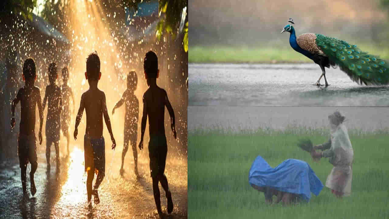Rain Names: వర్షాలకు పేర్లు ఉన్నాయని తెలుసా..! కురిసే విధానం, సమయాన్ని బట్టి వానల్ని ఏఏ పేర్లతో పిలుస్తారంటే...