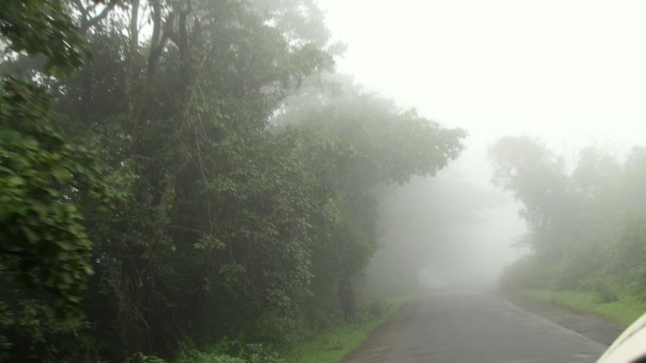 మీ ప్రేమికురాలు లేదా ప్రేమికుడితో ఆనందంగా చేతిలో చేయి వేసుకొని నడవడానికి బెస్ట్ ప్లేస్ మాథెరాన్. అందమైన ప్రదేశాల్లో ఇదొక్కటి. ముంబై, పూణే సమీపంలో ఉన్న ఈ అతి సుందరమైన హిల్ స్టేషన్ పచ్చటి ప్రకృతి కొండలతో అందంగా ఉంటుంది. ఇలాంటి ప్రకృతి మధ్య మీ భాగస్వామితో చేతిలో చేయి వేసి నడవడం వలన మీలో ఉన్న ప్రేమ మరింత పెరుగుతుంది. అందుకే ప్రేమకులకు మాథెరాన్ అద్భుతమైన టూరిస్ట్ ప్లేస్.