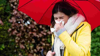 Optical Illusion: మీ మెదడుకి పదును ఈ చిత్రం.. గొర్రెపిల్లలో ఉన్న ముఖాలు ఎన్నో చెప్పుకోండి చూద్దాం